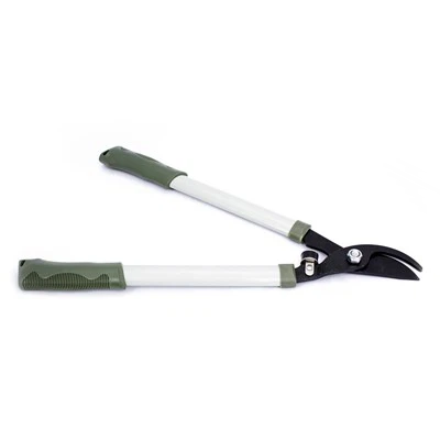 Ag bearradh deimhis 50cm xl